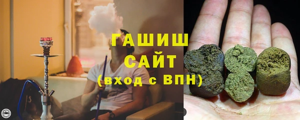 крисы Ельня