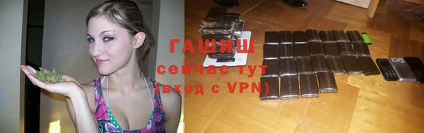 крисы Ельня