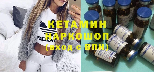 крисы Ельня