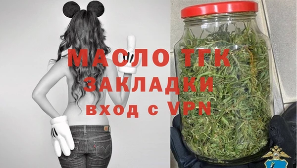 шишки Дмитровск