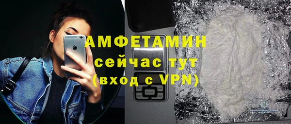 крисы Ельня