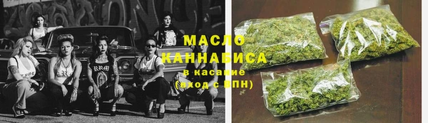 крисы Ельня