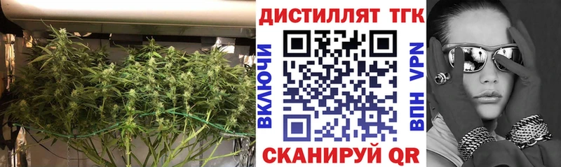 закладка  Лиски  ТГК концентрат 